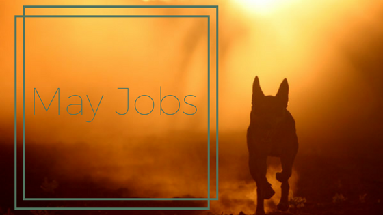 May Jobs May Jobs